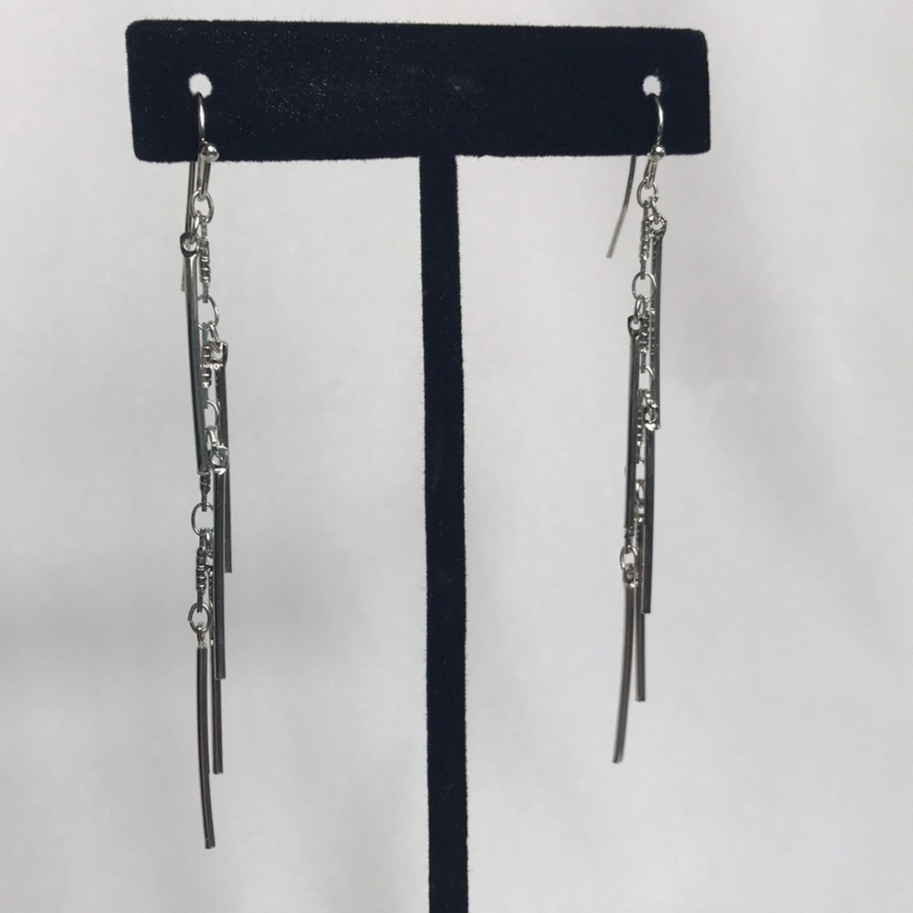 🌻 3/25 🌻 NWOT Silver Dangle Earrings